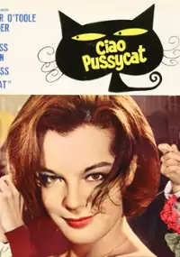 Plakat filmu Co słychać, koteczku?