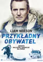 plakat filmu Przykładny obywatel