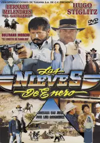 Plakat filmu Las Nieves de enero