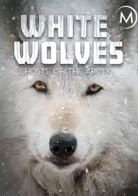Plakat filmu Białe wilki - duch Arktyki