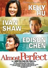 Plakat filmu Almost Perfect