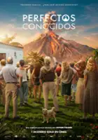 plakat filmu Perfectos conocidos