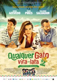Plakat filmu Qualquer Gato Vira-Lata 2