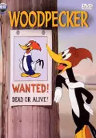 plakat filmu Woody Woodpecker