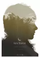 Katie Wallack / Sea Horse