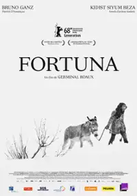 Plakat filmu Fortuna