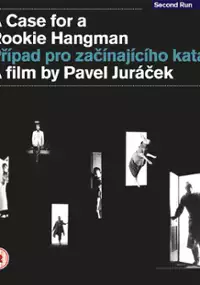 Plakat filmu Przypadek dla początkującego kata