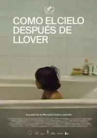 Plakat filmu Niebo po deszczu