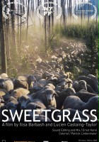 plakat filmu Sweetgrass