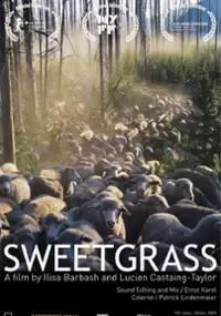 Plakat filmu Sweetgrass