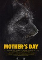 plakat filmu Dzień matki