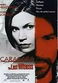 Plakat filmu Ostatni świadek