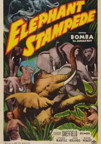 Plakat filmu Elephant Stampede