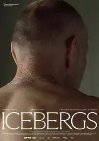 Plakat filmu Icebergs