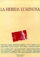 plakat filmu La Herida luminosa