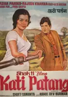 Vrajendra Gaur / Kati Patang