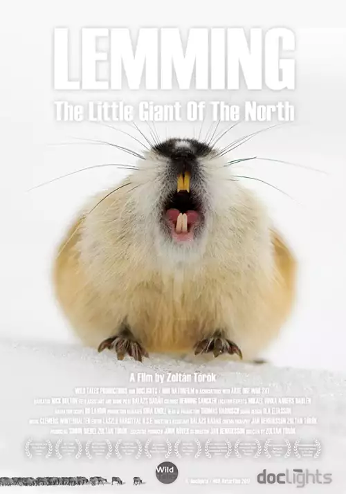 plakat filmu Leming - mały olbrzym północy