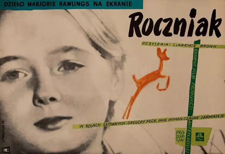 plakat filmu Roczniak