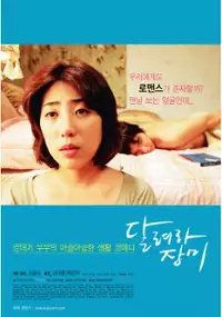 Plakat filmu Dalryeora Jangmi