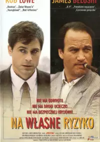 Plakat filmu Na własne ryzyko