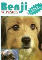 plakat filmu Benji w pracy