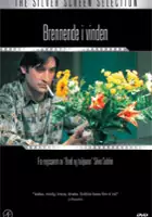 plakat filmuBrucio nel vento