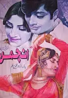 plakat filmu Anjuman