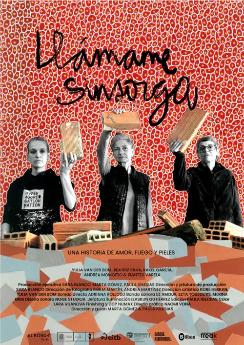 plakat filmu Nazwij mnie Sinsorga