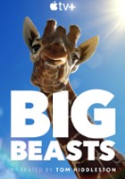 plakat filmu Wielkie zwierzęta