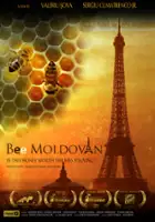 Sergiu Cumatrenco Junior / Bee Moldovan