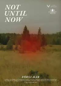 Plakat filmu Först här