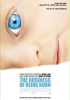 plakat filmu Porodowy biznes
