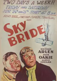 Plakat filmu Podniebni rycerze