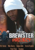 plakat filmu The Brewster Project