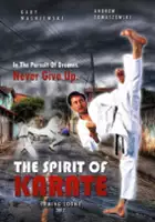 plakat filmu Karate Spirit