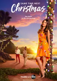 Plakat filmu O tej samej porze, w następne święta