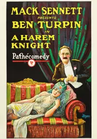 Plakat filmu A Harem Knight