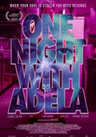plakat filmu One Night with Adela