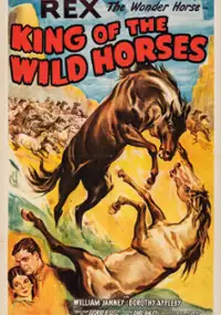 Plakat filmu King of the Wild Horses