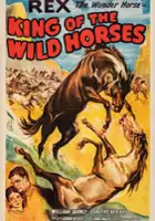 plakat filmu King of the Wild Horses