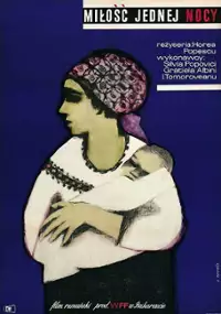 Plakat filmu Miłość jednej nocy