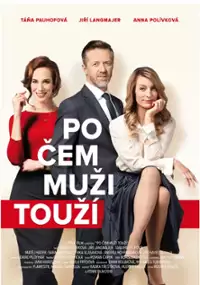 Plakat filmu Czego pragną mężczyźni