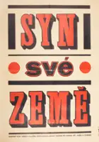 Marina Janashia / Mshobliuro chemo mitsav (Raikomis mdivani)