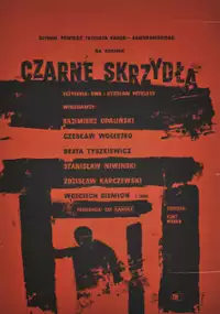 Plakat filmu Czarne skrzydła