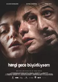 Plakat filmu Surogatka