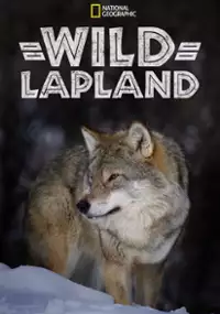 Plakat filmu Dzika Laponia