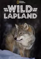 plakat filmu Dzika Laponia