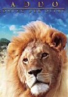 plakat filmu Addo, koning der dieren