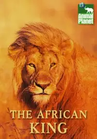 Plakat filmu Addo, koning der dieren