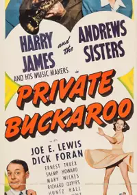 Plakat filmu Private Buckaroo